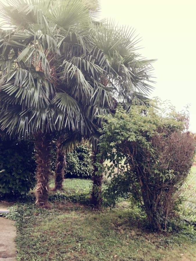 Villa Sofia Pramaggiore Exterior photo